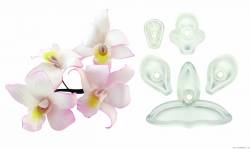 Satz 5 Stk Ausstechformen – Orchidee Singapur