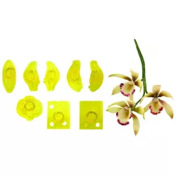 Ausstecher 8 Stück – kleine Orchidee Cymbidium