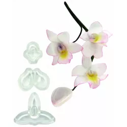 Satz 3 Ausstechformen – kleine Orchidee Singapur