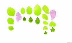 Blattläufchen 11 Stück