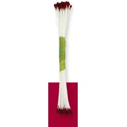 Weinrote Handschuhe 50 Stück