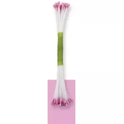 Veilchenfarbene Pestki 50 Stück