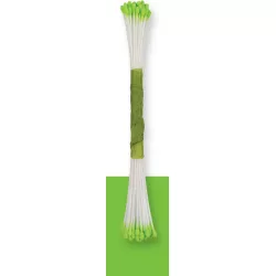 Limetten-Pastillen 50 Stück