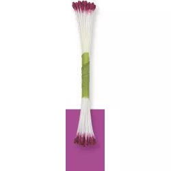 Gewürzstifte violett 50 Stück