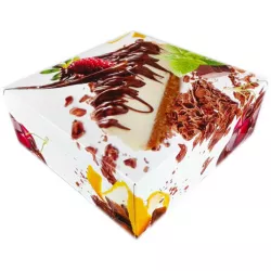 Monza Kuchenbox 26x10