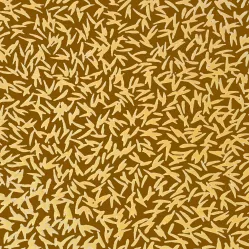 Transferfolie GRAINS, 30 × 40 cm