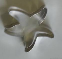 Ausstechform Seestern