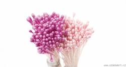 Perlmutt-Pestíky - rosa