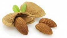 Ausroll- und Modelliermasse 1,4 kg