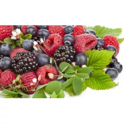 Waldbeeren-Geschmacks-Paste (200 g)