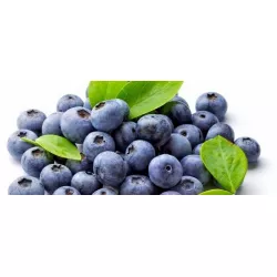 Geschmackscreme Blaubeere (200 g)