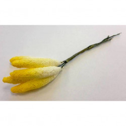 Pestíky P06 kala (5 ks - 11 cm) 6325