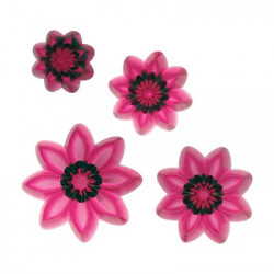 Set von Ausstechformen 4 Stück für Blütenblätter von Gänseblümchen