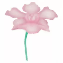 Schablone für Airbrush-Orchidee