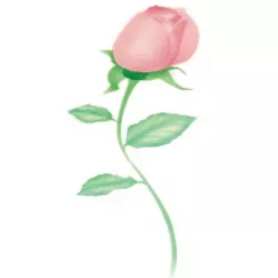 Schablone für Airbrush-Rosen