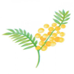 Stencil für Airbrush Mimose Zweig