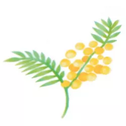 Stencil für Airbrush Mimose Zweig