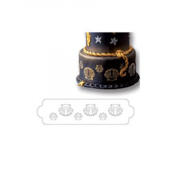 Schwämme 34x9 cm Muscheln