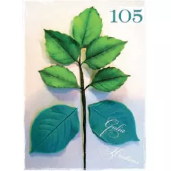 Silikonform Adern-Prägematte Rosenblätter 5×8 cm