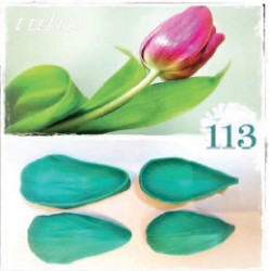 Silikonform zur Adernzeichnung