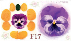 Silikonform zur Adernzeichnung