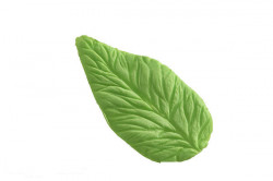 Veneziální list Foglia 43x81 mm