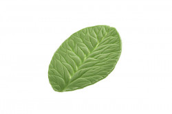 Filigran-Blatt Foglia 80x60mm