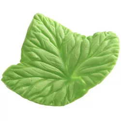 Vein-Queller Blatt Foglia