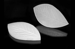 Veneziální list Foglia 140x80mm