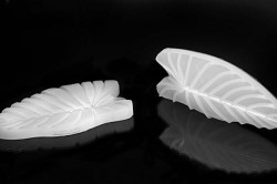 Veneziální list Foglia 160x80mm