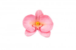 Form für Orchidee 92x60mm