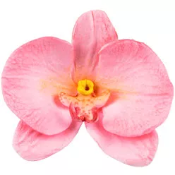 Form für Orchidee 92x60mm