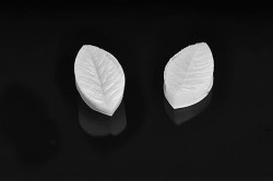 Blattadernrahrer 5x3 cm