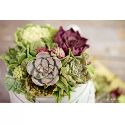 Silikonová forma na sukulenty FL06219 6,5x6,5cm - Karen Davies