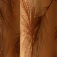 Transfer Folie 40x25 cm Plument