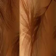 Transfer Folie 40x25 cm Plument