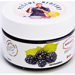 Gewürzpaste Joypaste Himbeere (200 g) 4090