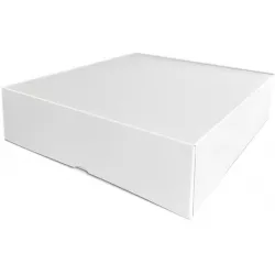 Kiste 23xx23x10 cm ohne Druck