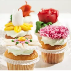 Roll Decor Modelliermasse 2,5 kg