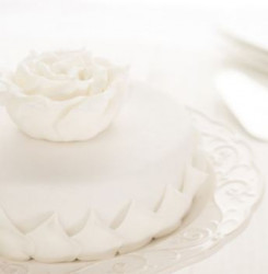 Roll Decor Modelliermasse 2,5 kg