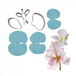 Blütenstempel-Set und Ausstecher für Orchideen