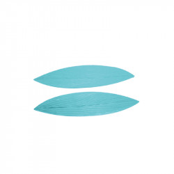 Blutzuckerblatt 21x5 cm