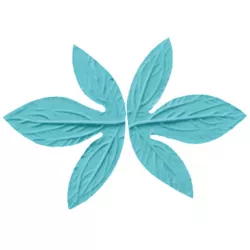 Blutzirkulator Liste 12x9 cm