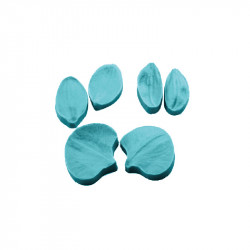 Blütenblatt der Blüte 6x5 cm