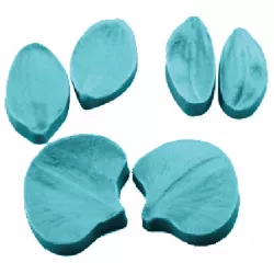 Blütenblatt der Blüte 6x5 cm