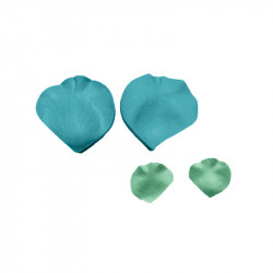 Blütenblatt der Blüte 6x6 cm