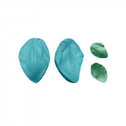 Blütenblatt der Blüte 5x3 cm