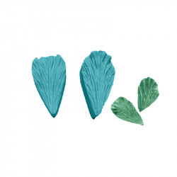 Blutzuckerblatt 5x3 cm