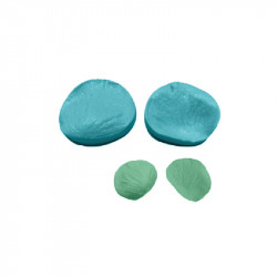 Blütenblatt der Veilchenstengel?