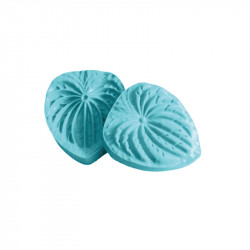 Blutzuckerblatt 12x11 cm